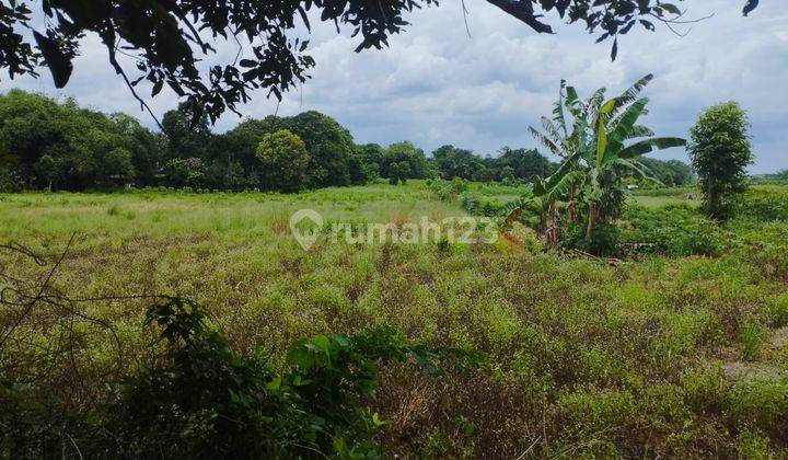 Dijual Tanah di ragemanunggal setu bekasi  2