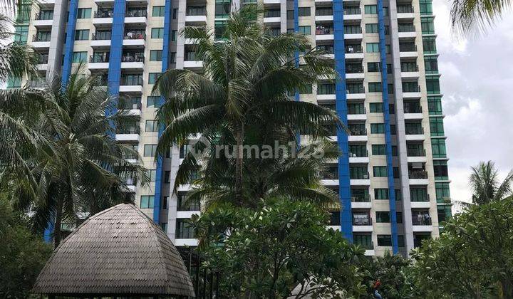 Apartemen Hampton Park Tipe 3BR Jakarta Selatan 1