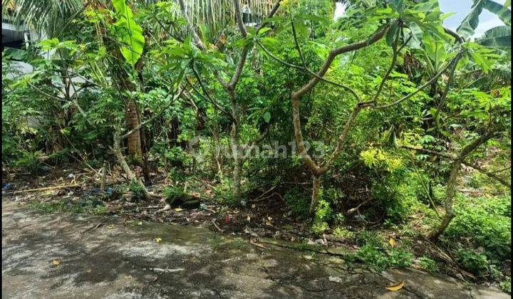 TANAH LUAS DAN STRATEGIS  DI MUNGGU DEKAT CANGGU 2