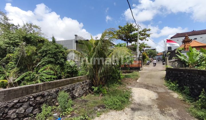 Fast Sale Rice Field View Land Near Puspem Badung