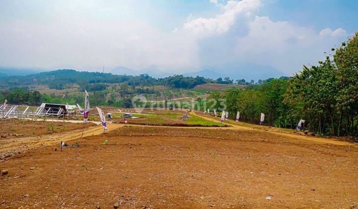 Jual Tanah Sertifikat Siap Bangun Villa Dan Gratis Kebun Anggur, Pinggir Jalan Raya  2