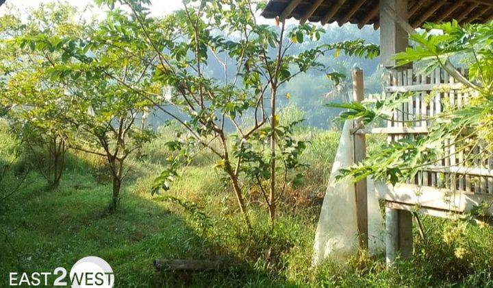 Jual Rumah Bandongan Magelang Tanah Luas Lokasi Nyaman Strategis 4