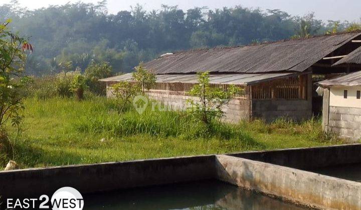 Jual Rumah Bandongan Magelang Tanah Luas Lokasi Nyaman Strategis 5