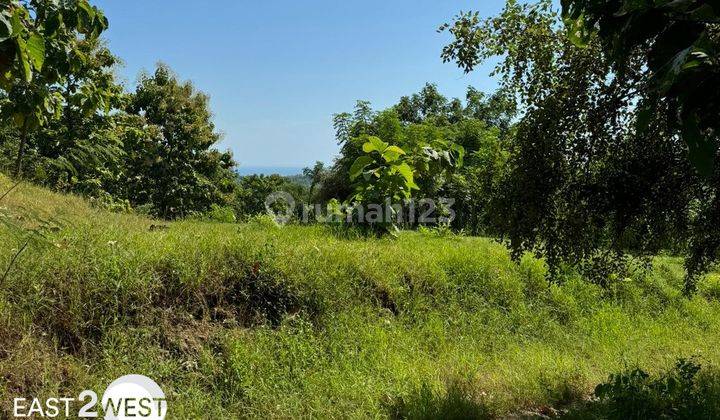 Sell Plots of Tukad Sumaga Buleleng Bali Cheap Large Strategic Location 2