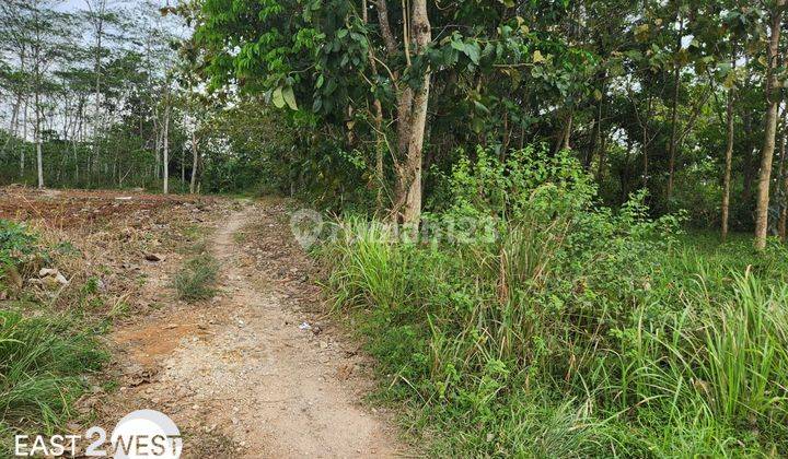 Jual Kavling Gedung Harapan Jati Agung Lampung Selatan Murah Strategis 2