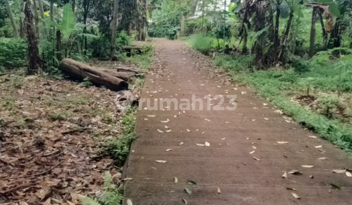 Dijual Tanah Dekat Meteseh Boja, Ada Pohon Durian dan Sdh Ada Air PDAM 1