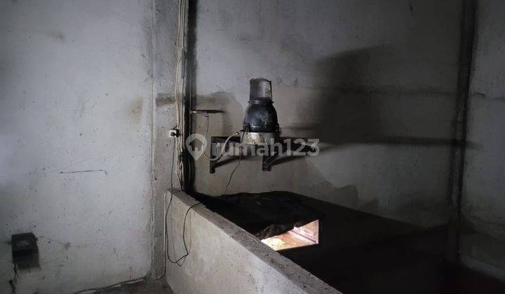 Rumah Bonus Sarang Burung Walet di Saguling Bandung Barat 11