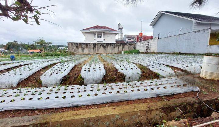 Jual Kavling Tanah Lokasi Sejuk di Graha Puspa Lembang Bandung 1