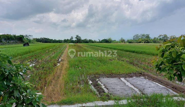 Tanah Sawah SHM Kawasan Prambanan Klaten