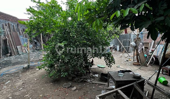 Tanah Siap Bangun Dekat Fasilitas Kesehatan Area Samirono Yogyakarta Tanah Siap Bangun Dekat Fasilitas Kesehatan Area Samirono Yogyakarta