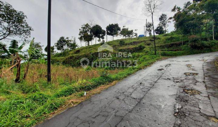 Tanah Area Jenawi Karanganyar Solo Timur Dekat Dengan Candi Cetho 2