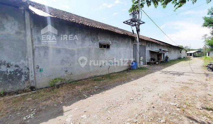 Ruang Usaha Peternakan Babi Murah Jaten Karanganyar 3