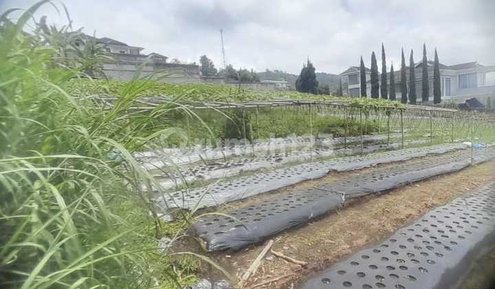 Tanah Luas Murah di Area Villa Lembang Bandung Barat