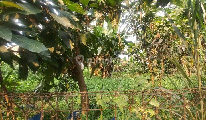 Tanah Kavling Luas Siap Bangun di Taman Sakura Indah 1