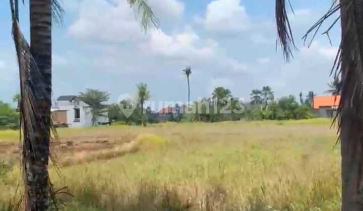 Tanah Luas Strategis di Lodtunduh Ubud Bali Tanah Luas Strategis di Lodtunduh Ubud Bali