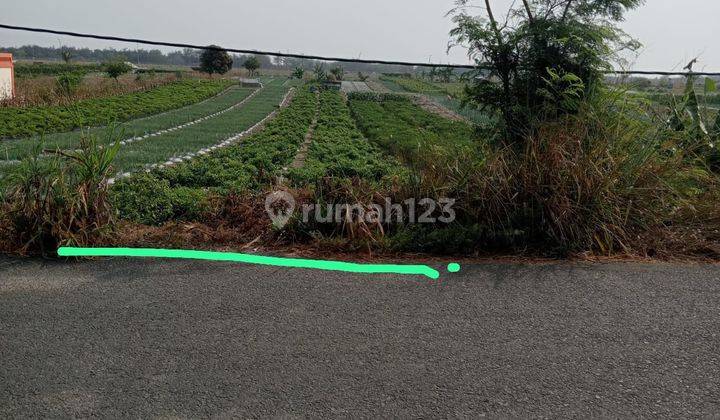 Tanah Murah Glagah Temon Kulon Progo 2