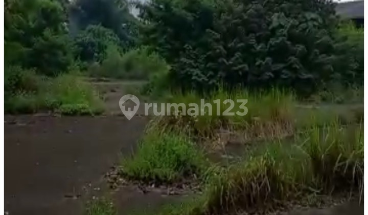 Tanah Cikupa Super Stategis Dekat Pt. Mayora Cikupa