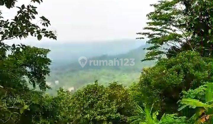 DIJUAL TANAH BUKIT DI PUDAK PAYUNG COCOK UNTUK VILA / PERUMAHAN  1