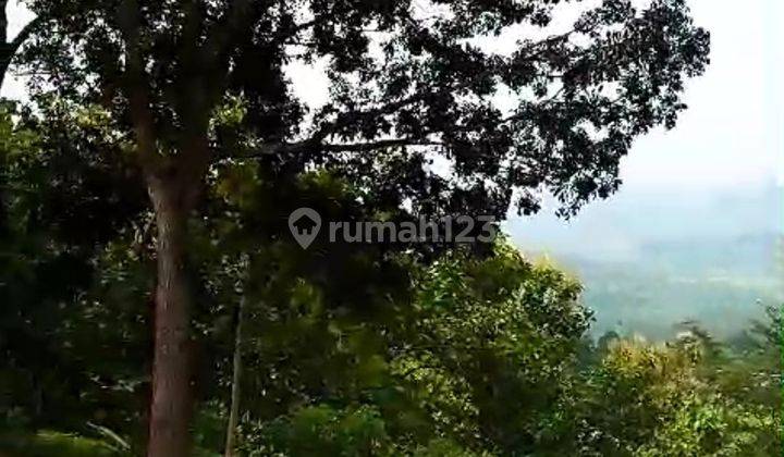 DIJUAL TANAH BUKIT DI PUDAK PAYUNG COCOK UNTUK VILA / PERUMAHAN  2