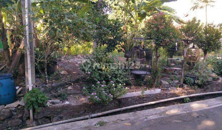 Dijual Tanah Di Undip Tembalang Bentuk.kotak Selangkah Ke Kampus Lt.664 2