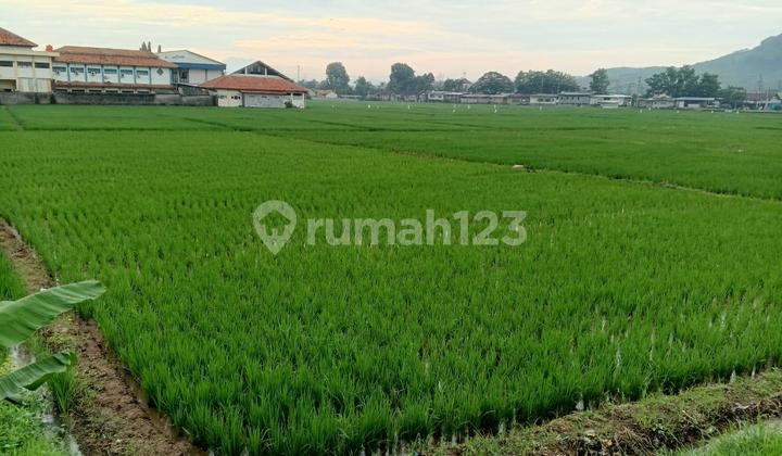 Tanah Pinggur Jalan Arteri Weleri Dekat Exit Tol Banyak Industri Wisata Restoran Tanah Pinggur Jalan Arteri Weleri Dekat Exit Tol Banyak Industri Wisata Restoran