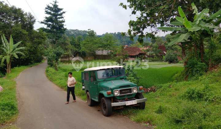 Tanah Boja Kendal Cocok untuk Usaha Pinggur Jalan Aspal Akses Mudah