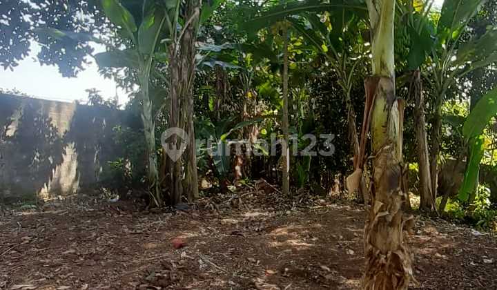 Land for Sale in Karangrejo Banyumanik, Close to Hospital and School. 2