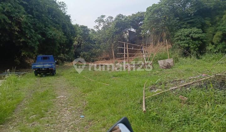 Land by the Main Road Suitable for Building a Cluster