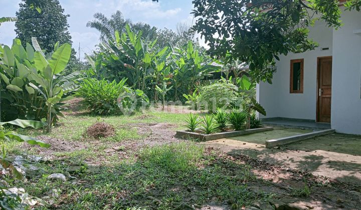 Tanah Luas Dan Rumah Baru Siap Huni Dekat Jalan Raya Kalisuren Tanah Luas Dan Rumah Baru Siap Huni Dekat Jalan Raya Kalisuren