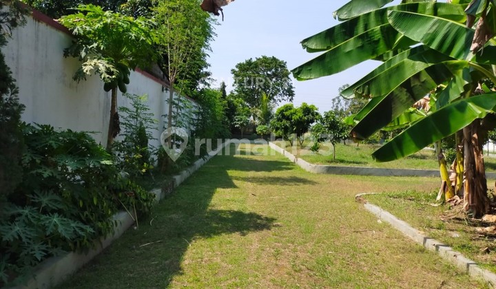 Dijual Kavling Strategis di Banyudono Boyolali Jawa Tengah Dijual Kavling Strategis di Banyudono Boyolali Jawa Tengah