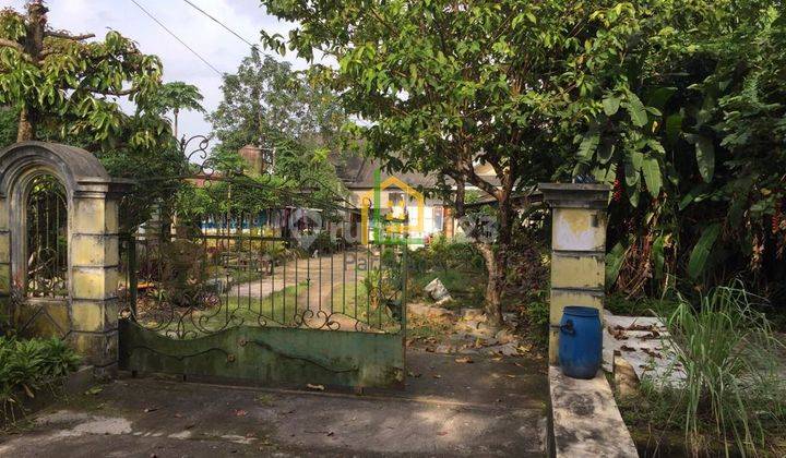 Andre Tjhia Rumah Jl. Timah Lokasi Premium Dekat Lapangan Merdeka Nego 4
