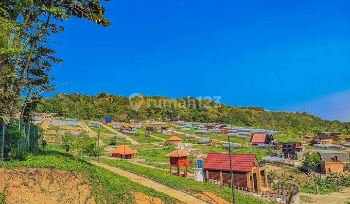 Pemandangan Alam Yang Indah di Kavling Pegunungan Eksklusif

 1