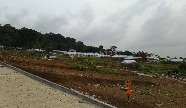 Kavling Pegunungan Dengan Suasana Sejuk Dan Pemandangan Indah
 1