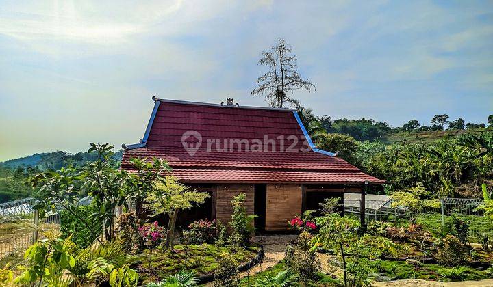 Lingkungan Sejuk di Kavling Pegunungan Investasi Ideal Dengan View Alam
 1