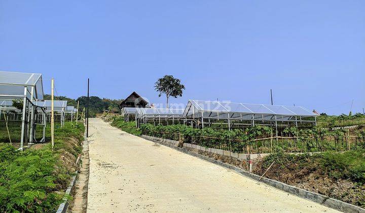 Nikmati Kedamaian Alam di Kavling Pegunungan Dengan Pemandangan Memukau
 2