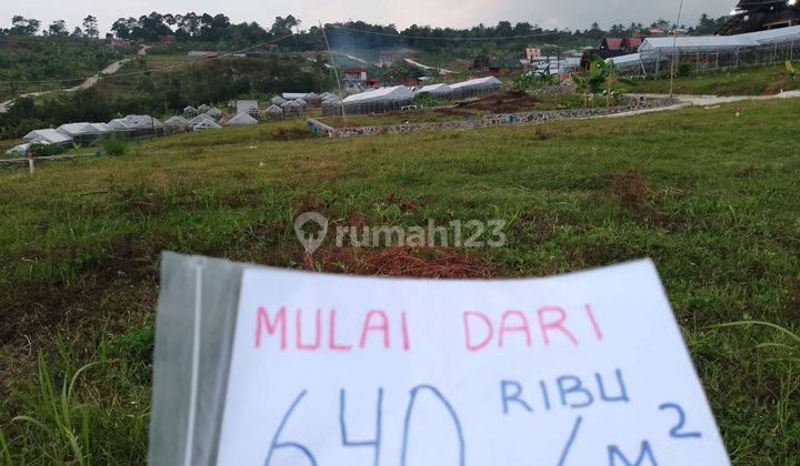 Kavling Sejuk di Pegunungan Tempat Hunian Yang Tenang Dan Alami
 1