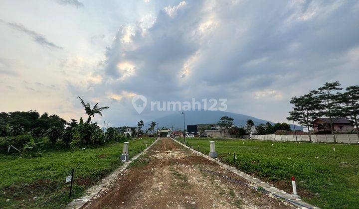 Nikmati Kedamaian di Kavling Pegunungan Pemandangan Eksotis
 2