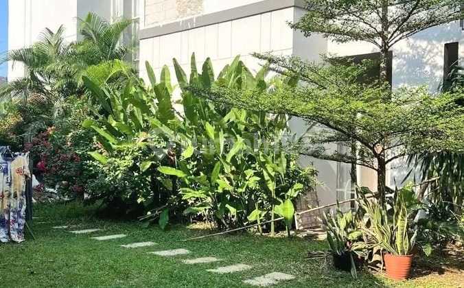 Rumah Minimalis dengan Taman Luas Dalam Cluster Elite Kebayoran Bintaro