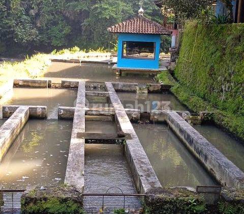 Di Jual Rumah Villa plus ada kolam Ikan /Tempat usaha Taman luas di lokasi strategis jalan Luas bebas Banjir  Luas tanah 1 Hektar  lokasi Manon jaya Tasik Malaya 3