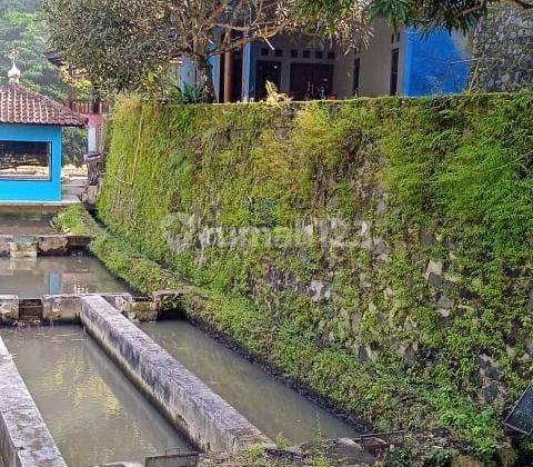 Di Jual Rumah Villa plus ada kolam Ikan /Tempat usaha Taman luas di lokasi strategis jalan Luas bebas Banjir  Luas tanah 1 Hektar  lokasi Manon jaya Tasik Malaya 10