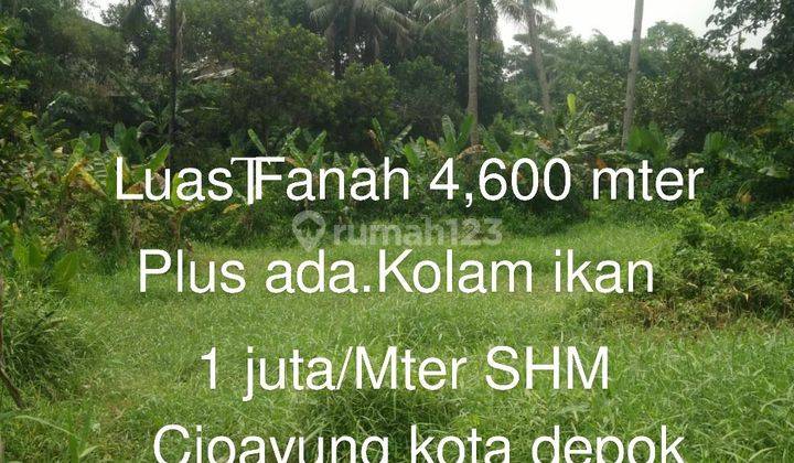 Di Jual Tanah kebun plus ada Kolam.Ikan. Lokasi Cipayung kota Depok  Dekat ke stasiun kereta api. harga Nego. Hub Hendra property /0857 1767 6878  1