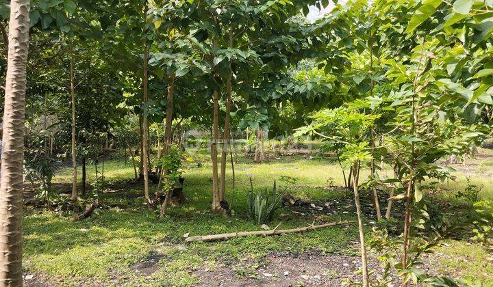 Jual Cepat!! Harga Di Bawah Njop!! Tanah Mainroad Moch Toha Bandung 1