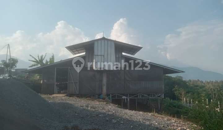 Quick Sale!! Active Chicken Coop Area Sumedang Quick Sale!! Active Chicken Coop Area Sumedang