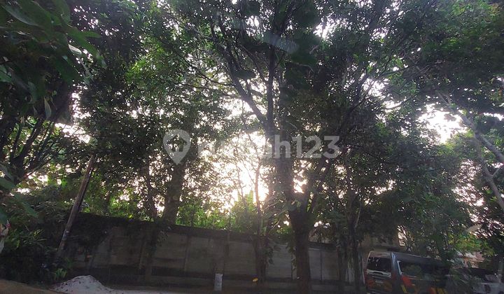 Kavling Di Bintaro Siap Bangun