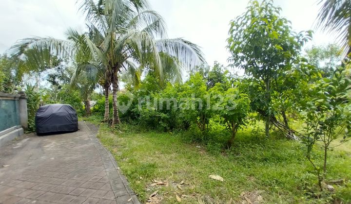 Dijual Tanah Murahsiap Bangun Lokasi Kutuh , K