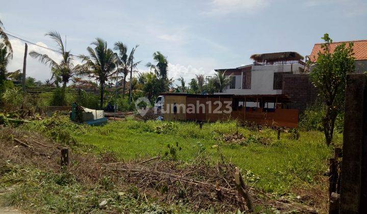 Small Plot Land Link Villa Rice Field View Cemagi Bali 2