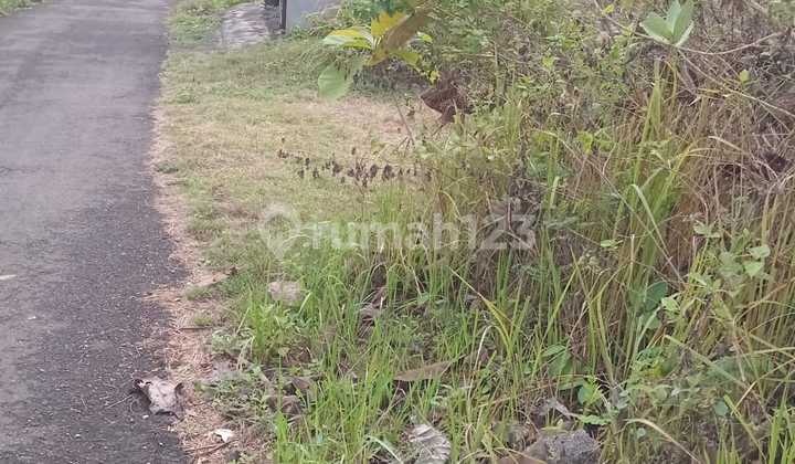 Di Jual Tanah Murah Lokasi Di Jln Pura Lempuyang Kutuh Badung 