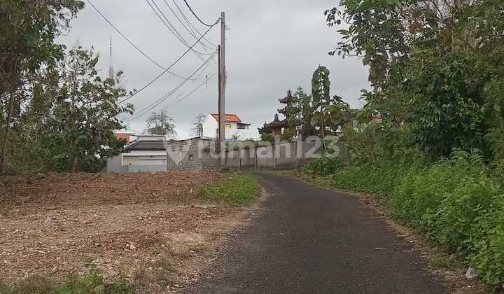 Di Jual Tanah Murah Lokasi Di Jln Pura Lempuyang Kutuh Badung 