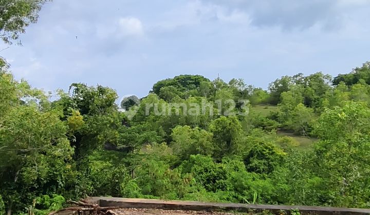 Dijual Tanahgoa Gong Cocok.buat Investasi.dan.bisnis