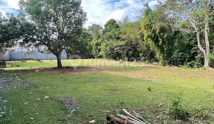 Tanah Dekat Kampus Udayana Cocok Buat Kos Kosan 